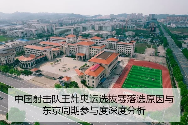 zhong-guo-she-ji-dui-wang-wei-ao-yun-xuan-ba-sai-luo-xuan-yuan-yin-yu-dong-jing-zhou-qi-can-yu-du-shen-du-fen-xi-2-143.jpg